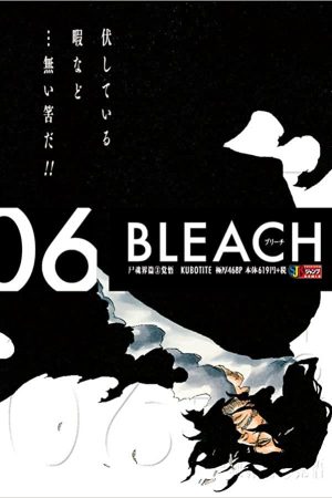 MAN1384.jpg Panini : Bleach Remix Vol. 06