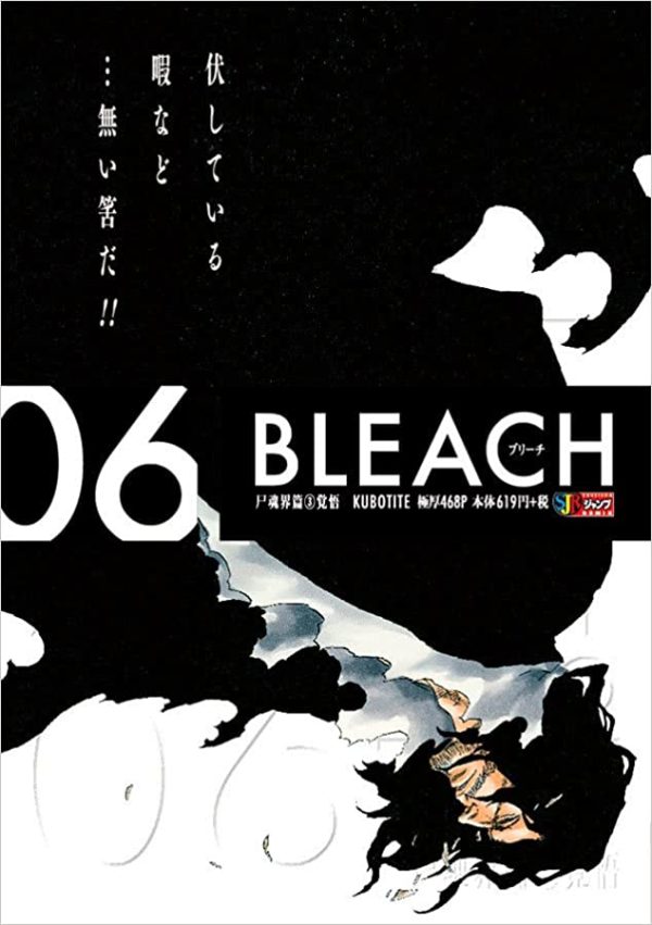 Panini : Bleach Remix Vol. 06