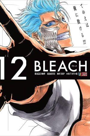 Panini : Bleach Remix Vol. 12