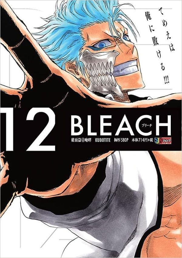 Panini : Bleach Remix Vol. 12