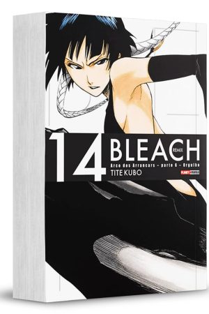 MAN1722.jpg Panini : Bleach Remix Vol. 14