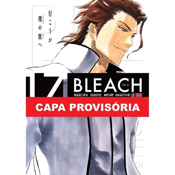 Panini : Bleach Remix Vol. 17