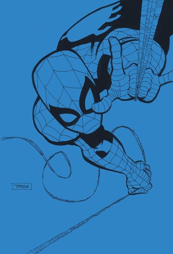 Homem-Aranha : Azul