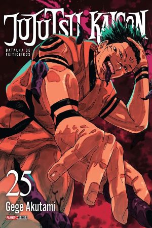 Version 1.0.0 Panini : Jujutsu Kaisen Vol. 25