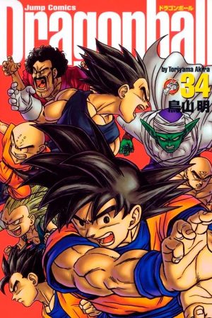 Version 1.0.0 Panini : Dragon Ball Definitiva Vol. 34