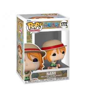 One Piece : Nami (Crying)