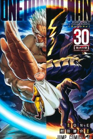 Version 1.0.0 Panini : One-Punch Man Vol. 30