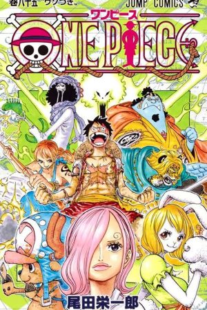 Version 1.0.0 Panini : One Piece 3 X 1 : Vol. 29