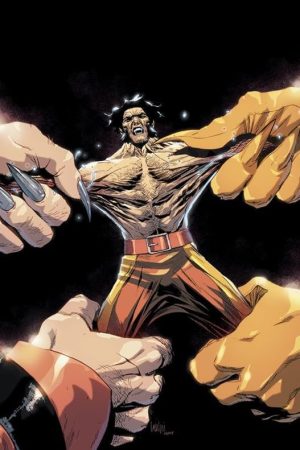 Wolverine Vol. 28
