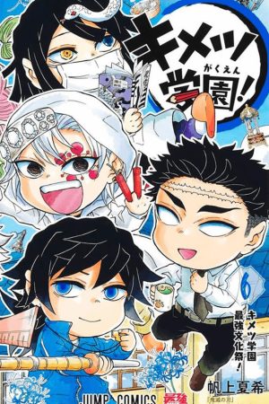 Panini : Demon Slayer Academia Vol. 06