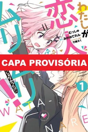 Panini : Um Amor Impossível ! Ou Não...Vol. 01