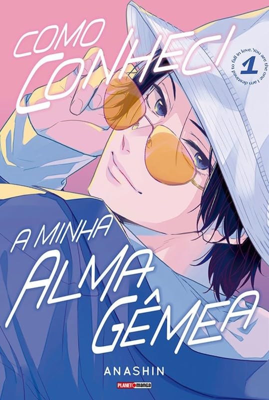 Panini : Como Conheci A Minha Alma Gêmea Vol. 01