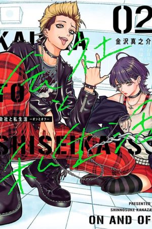 Panini : Entre o Profissional e o Pessoal – On / Off Vol. 02