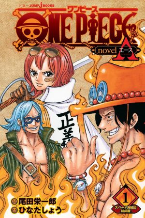 MAN2827.jpg Panini : One Piece A : Novel Vol. 01