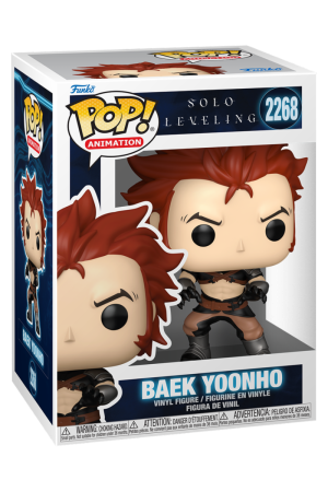 Solo Leveling : Baek Yoonho