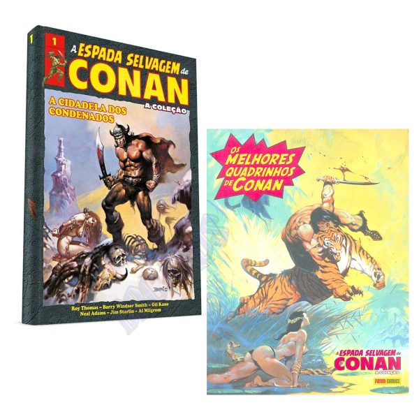 A Espada Selvagem De Conan Vol. 01