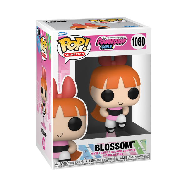 Powerpuff Girls : Blossom